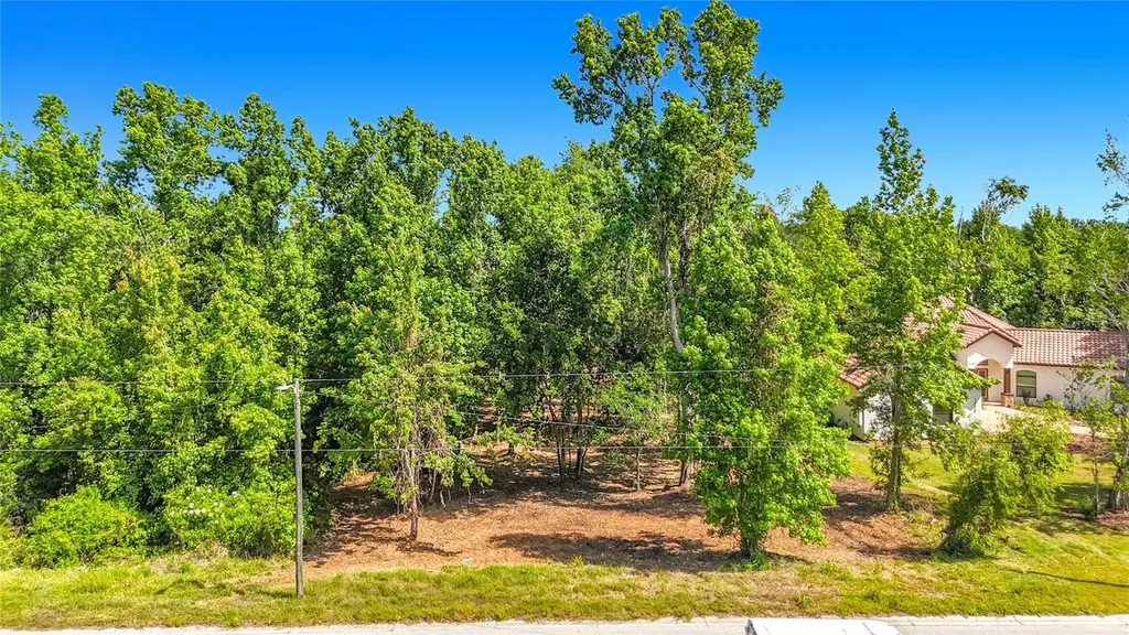 Lot 19 Lake Hills Drive Riverview FL 33569