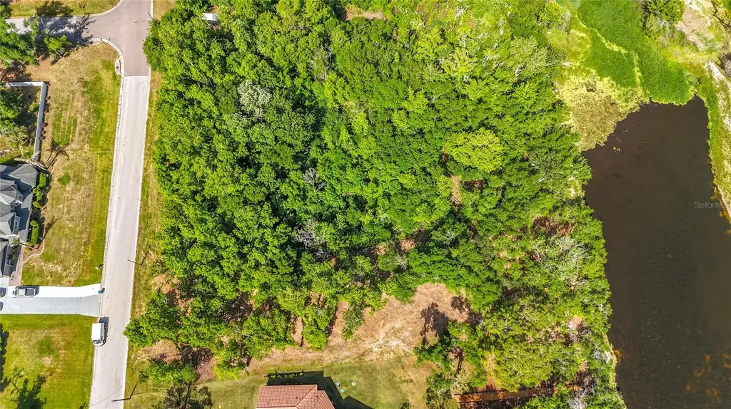 Lot 19 Lake Hills Drive Riverview FL 33569