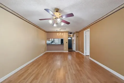 3803 N Oak Drive Tampa FL 33611