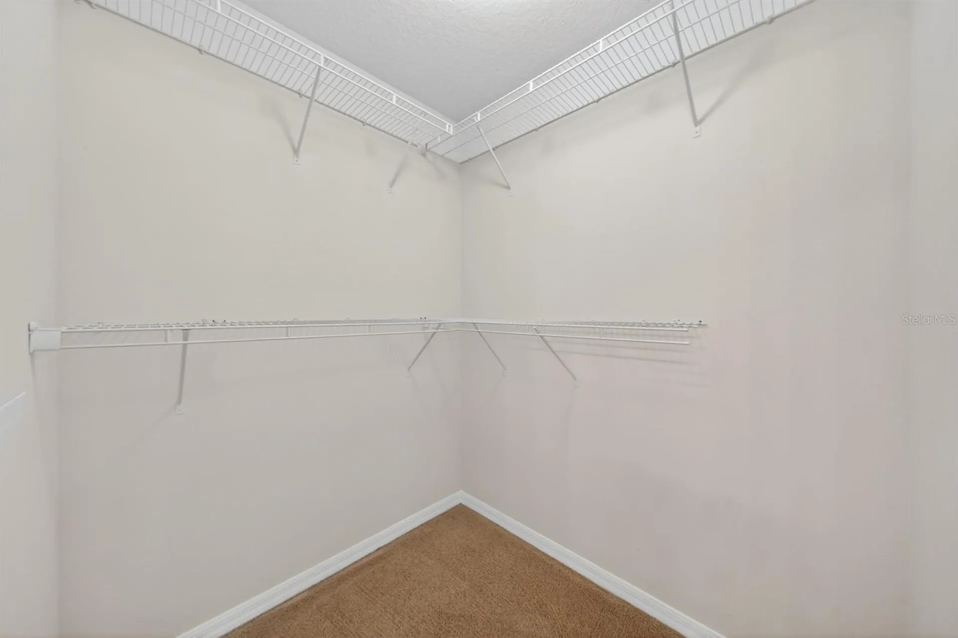 2629 Golden Antler Lane Lutz FL 33559