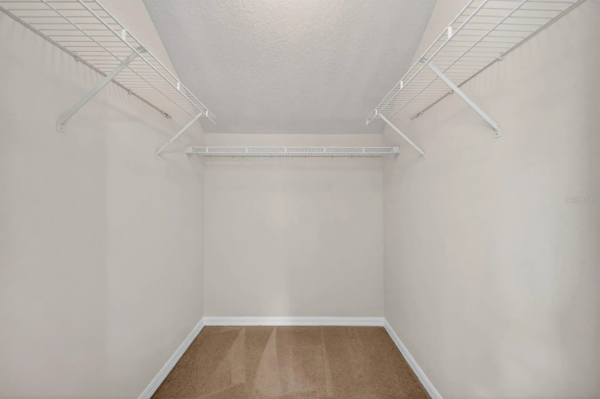 2629 Golden Antler Lane Lutz FL 33559