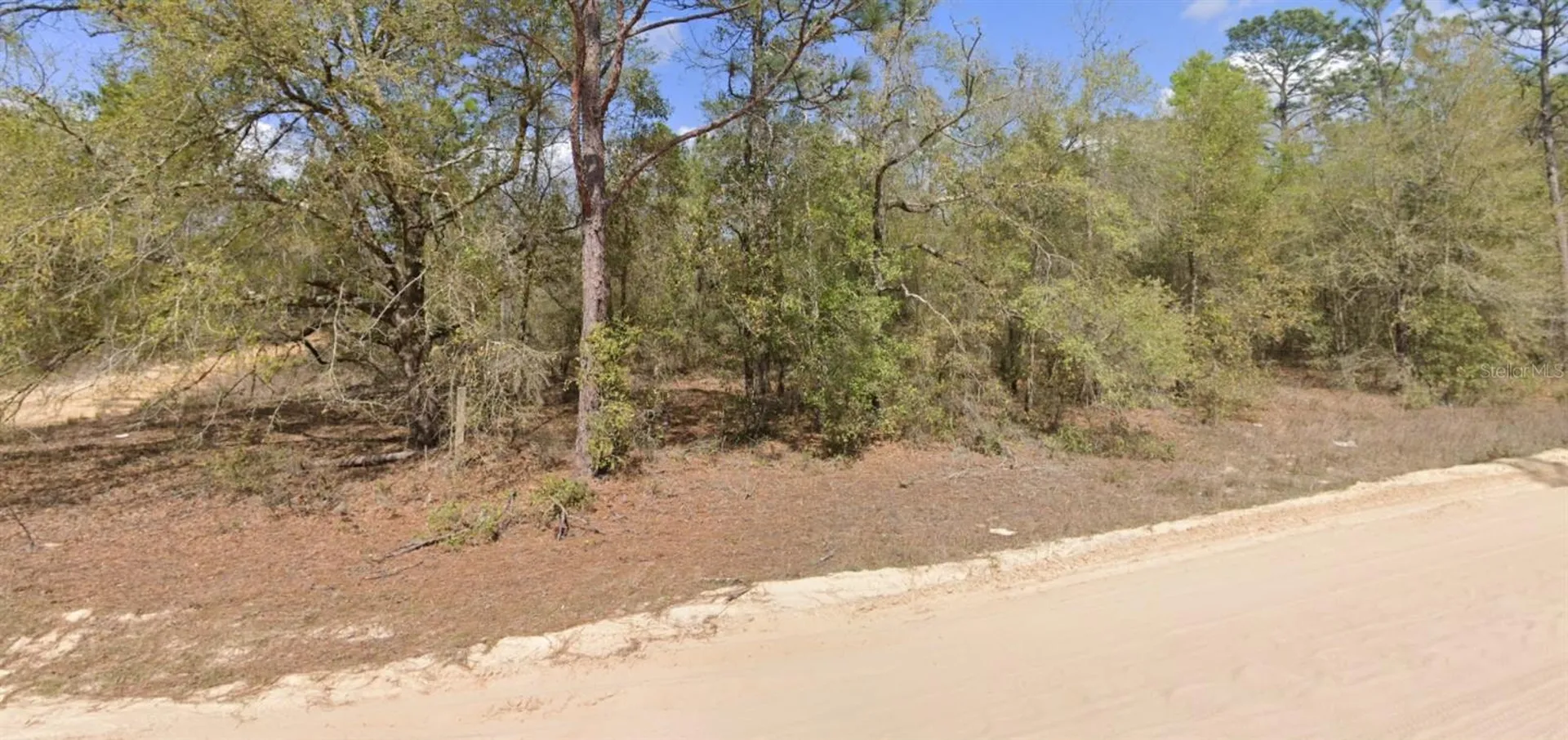 Lot 1 Martinedale Avenue Interlachen FL 32148