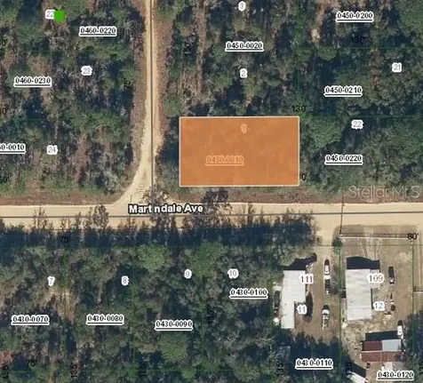 Lot 1 Martinedale Avenue Interlachen FL 32148