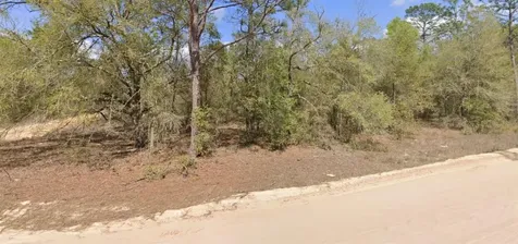 Lot 1 Martinedale Avenue Interlachen FL 32148