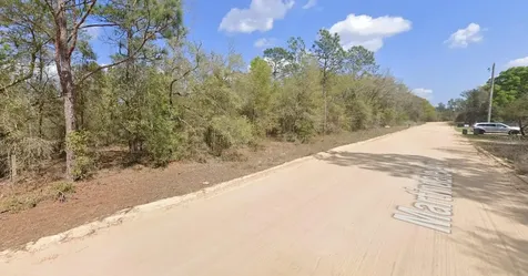 Lot 1 Martinedale Avenue Interlachen FL 32148