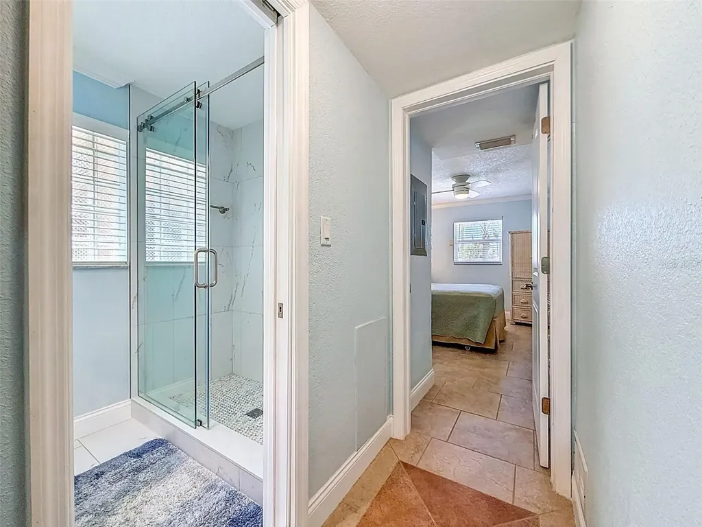 2687 Woodette Drive Dunedin FL 34698