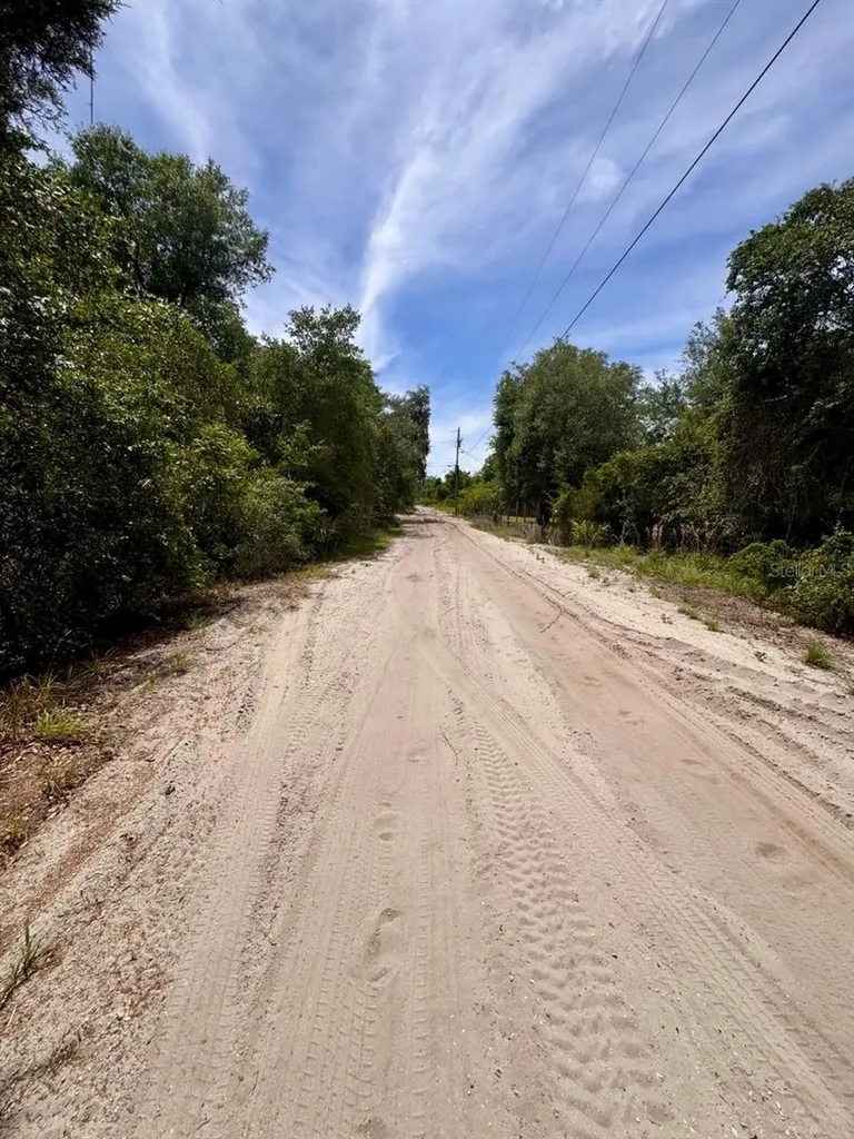 NE 306th Terrace Salt Springs FL 32134