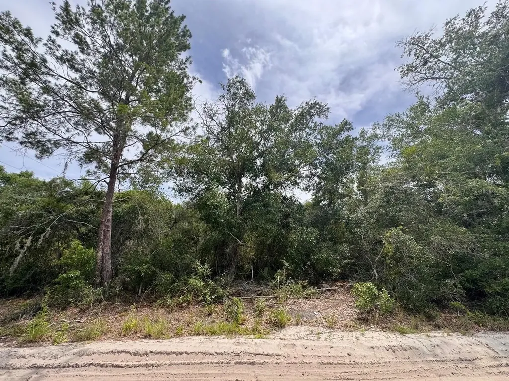 NE 306th Terrace Salt Springs FL 32134