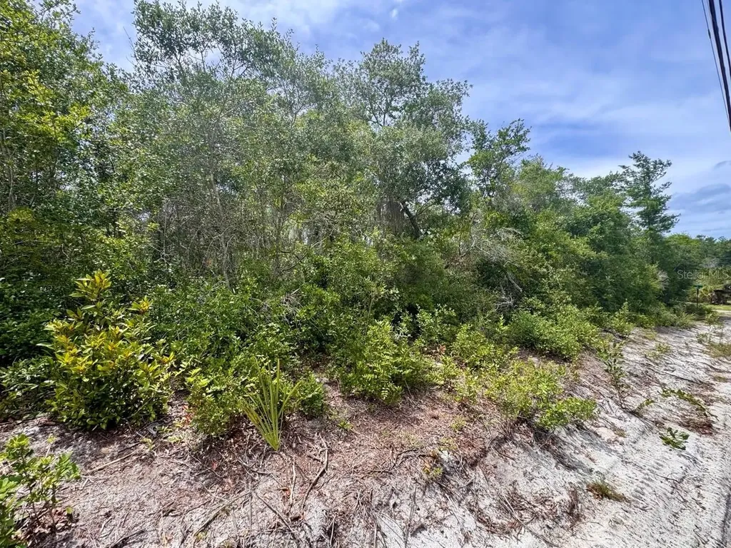 NE 306th Terrace Salt Springs FL 32134