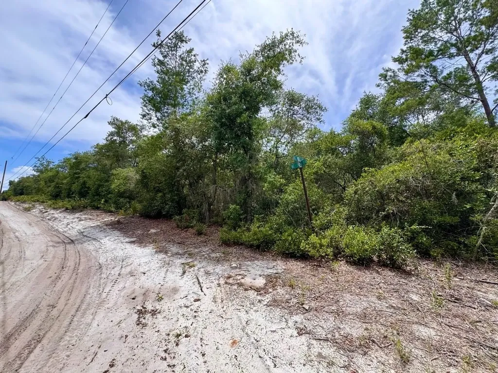NE 306th Terrace Salt Springs FL 32134