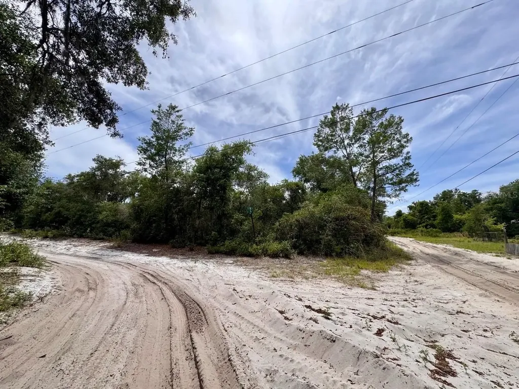 NE 306th Terrace Salt Springs FL 32134