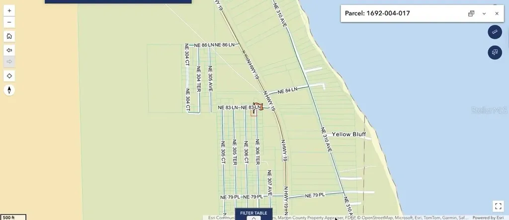 NE 306th Terrace Salt Springs FL 32134
