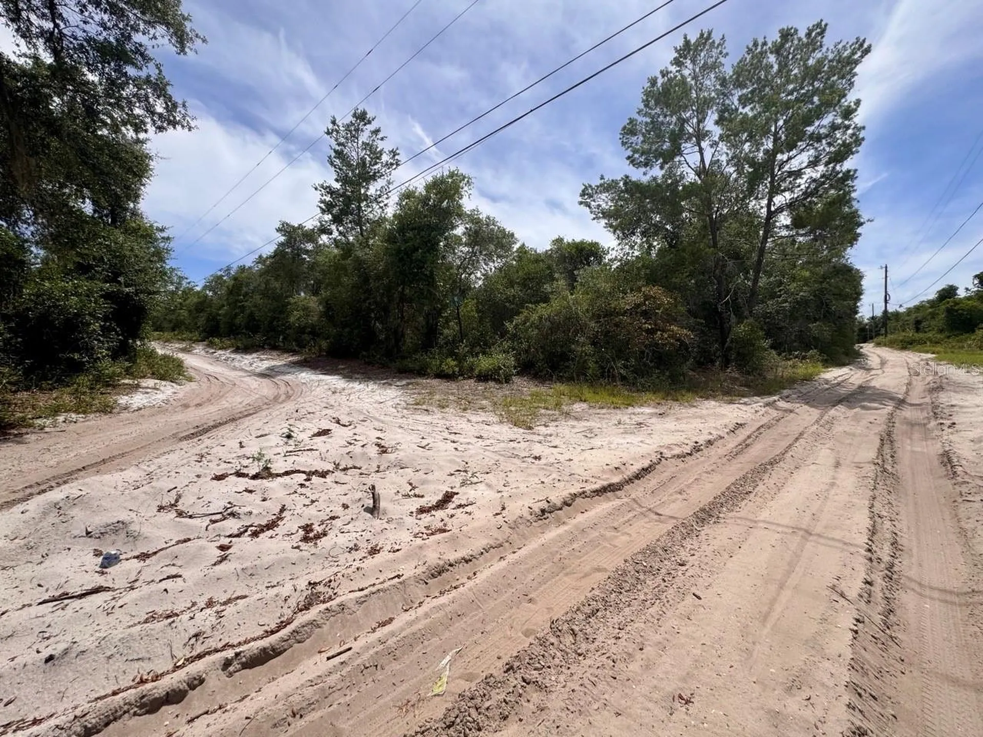 NE 306th Terrace Salt Springs FL 32134