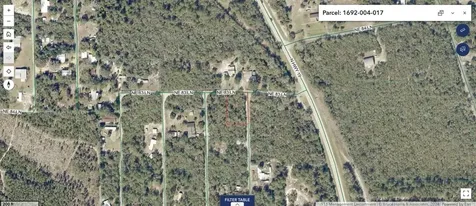 NE 306th Terrace Salt Springs FL 32134
