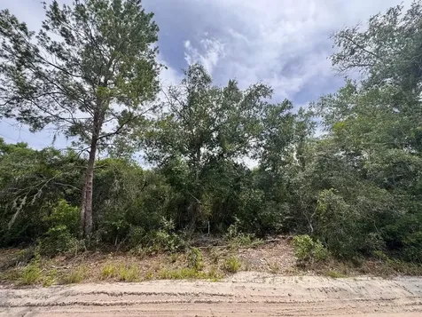 NE 306th Terrace Salt Springs FL 32134