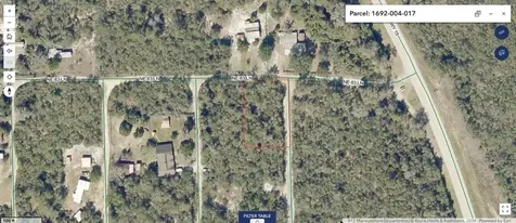 NE 306th Terrace Salt Springs FL 32134