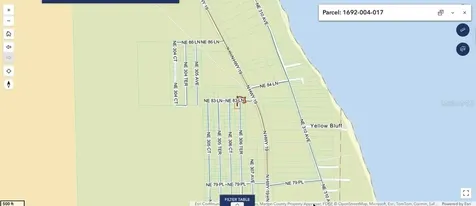 NE 306th Terrace Salt Springs FL 32134