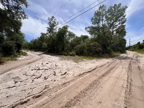 NE 306th Terrace Salt Springs FL 32134