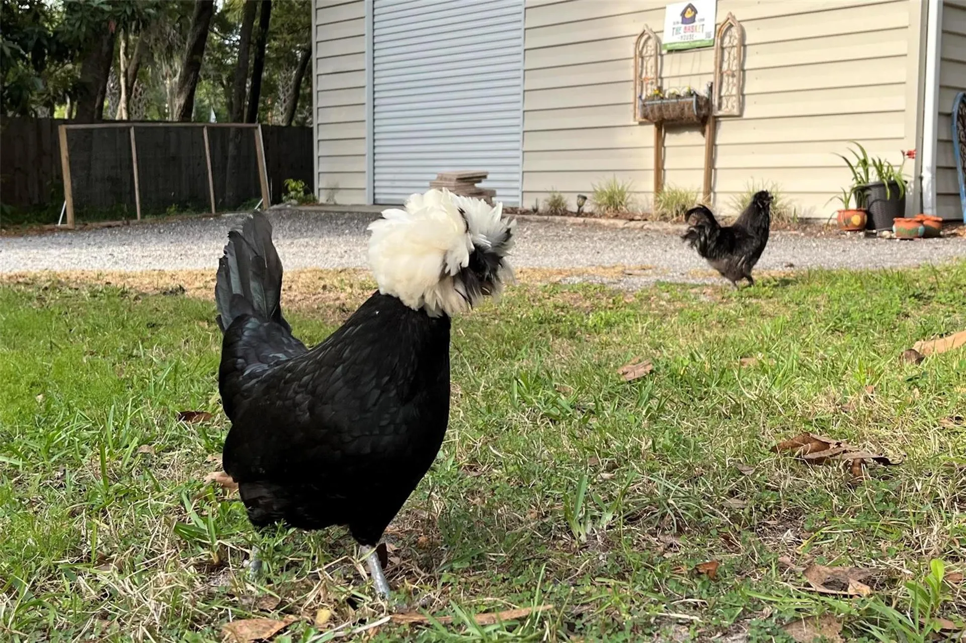 1661 Wondering Oak Lane Deland FL 32720
