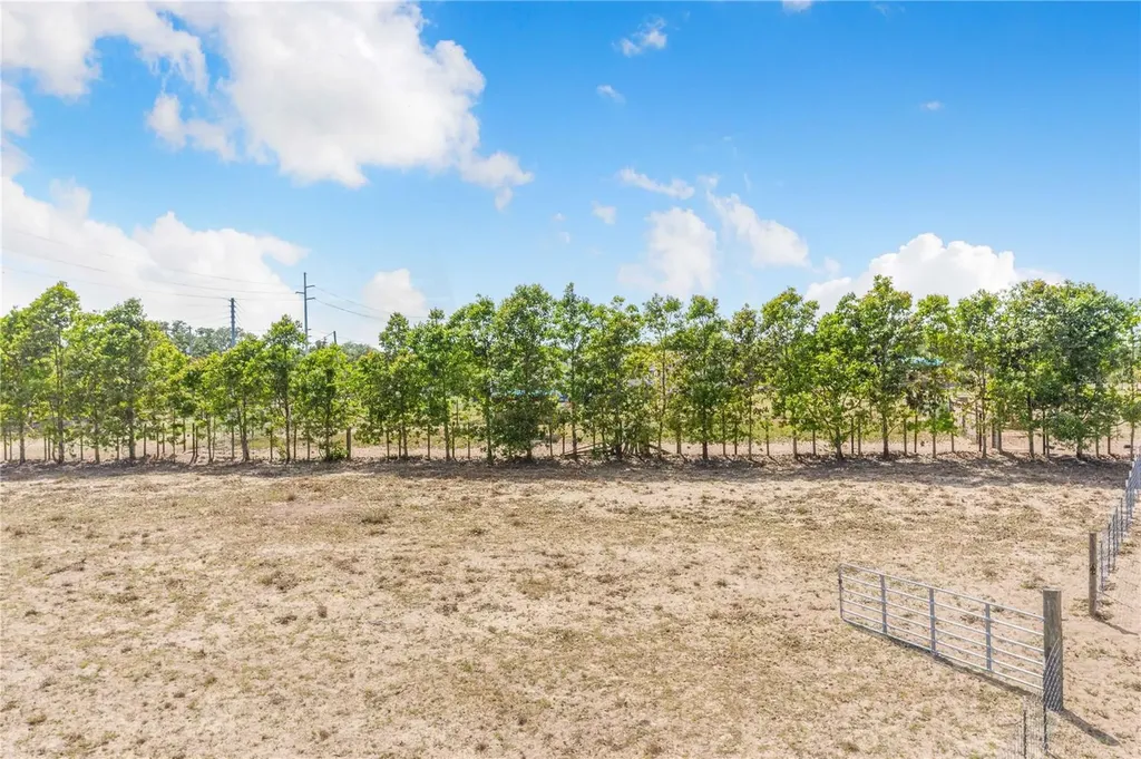Lake Hatchineha Road Haines City FL 33844