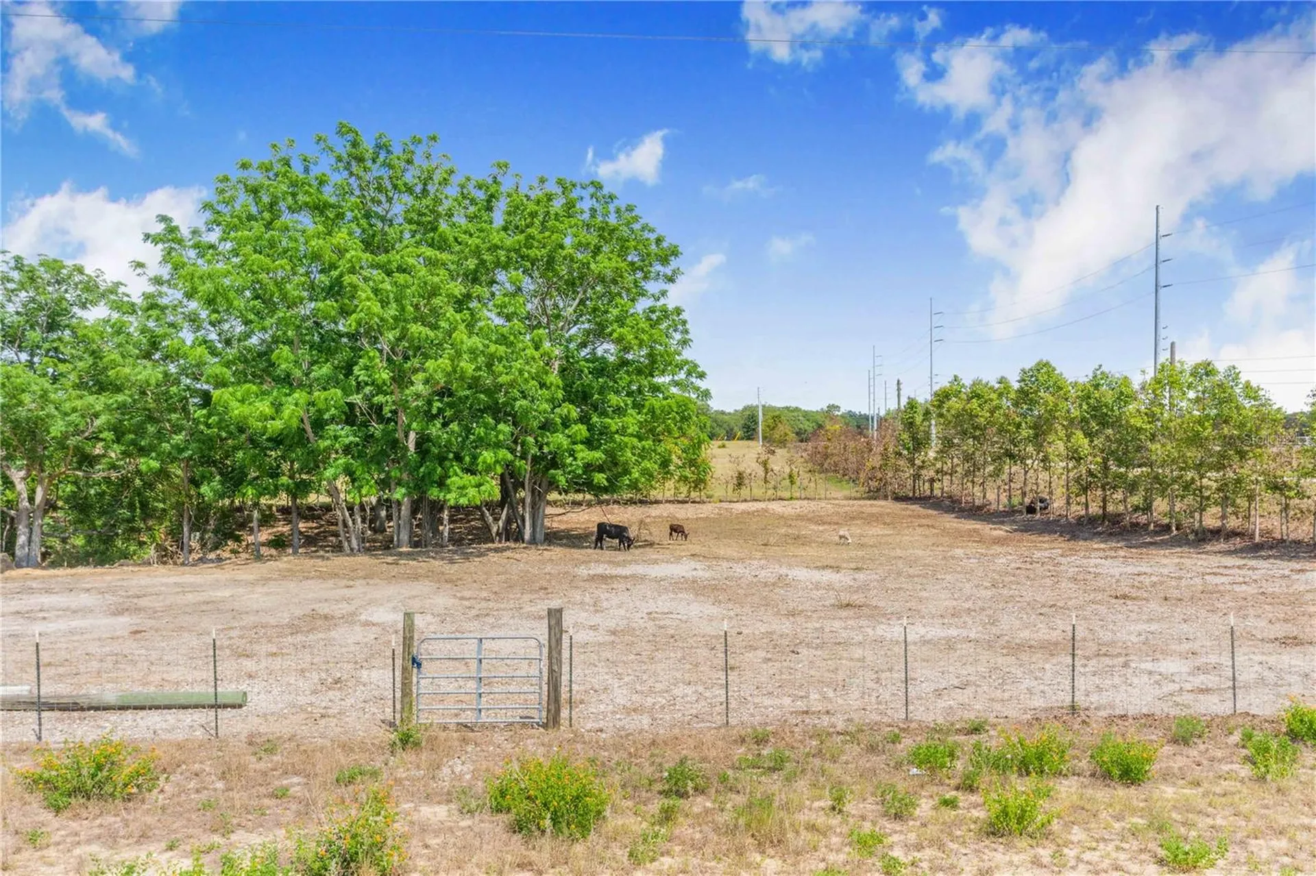 Lake Hatchineha Road Haines City FL 33844