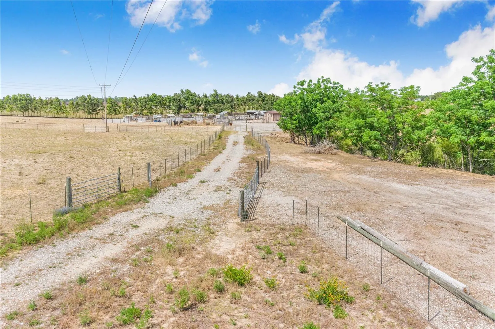 Lake Hatchineha Road Haines City FL 33844