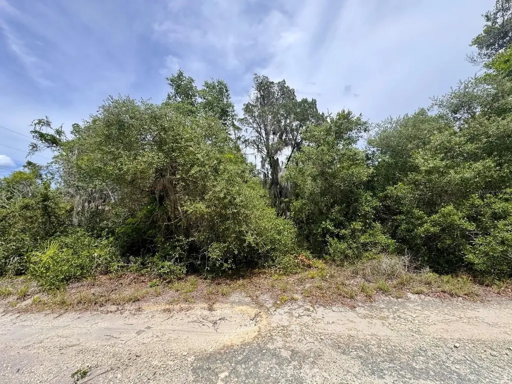 8365 NE 306th Court Salt Springs FL 32134