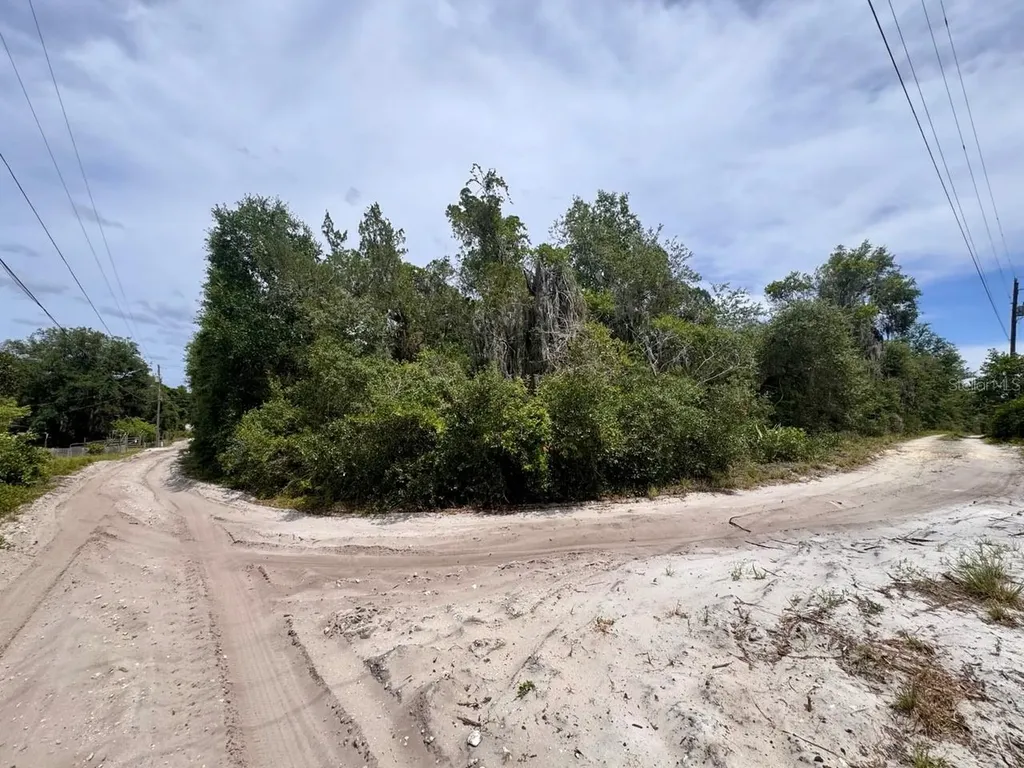 8365 NE 306th Court Salt Springs FL 32134