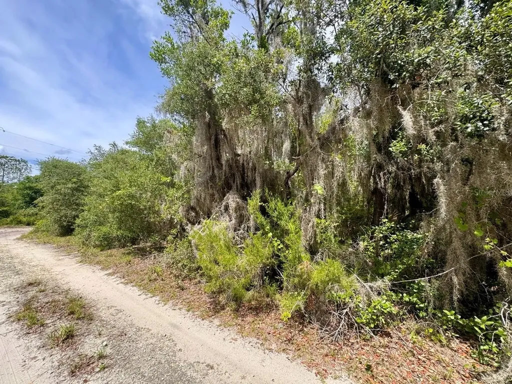 8365 NE 306th Court Salt Springs FL 32134