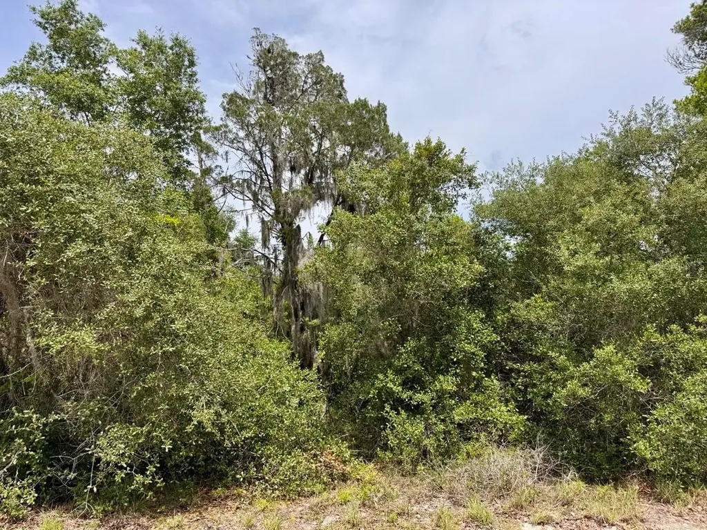 8365 NE 306th Court Salt Springs FL 32134
