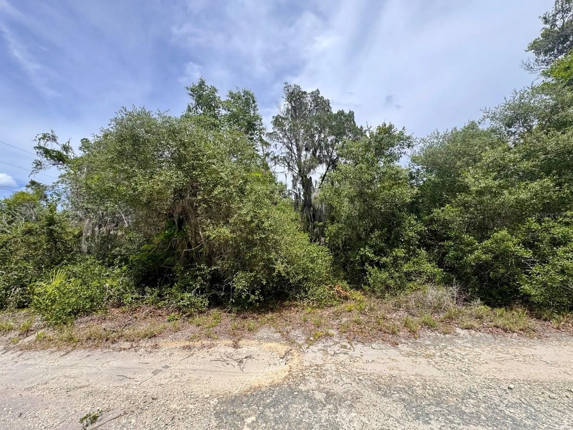 8365 NE 306th Court Salt Springs FL 32134