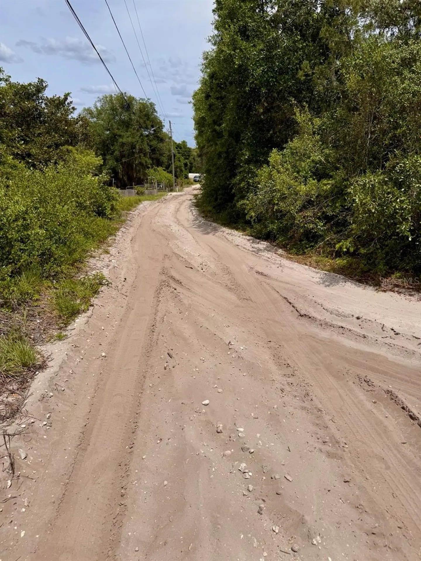 8365 NE 306th Court Salt Springs FL 32134