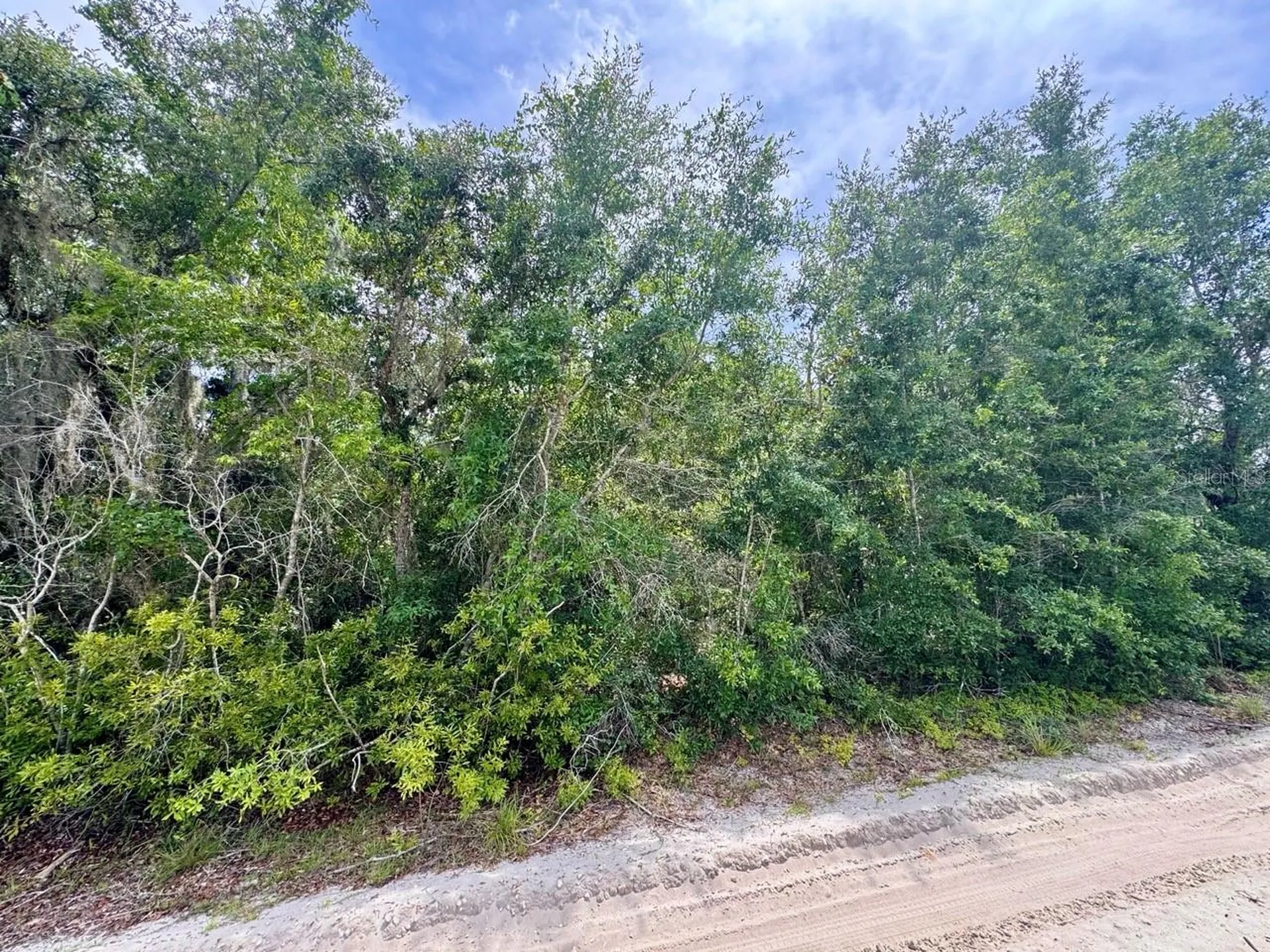 8365 NE 306th Court Salt Springs FL 32134