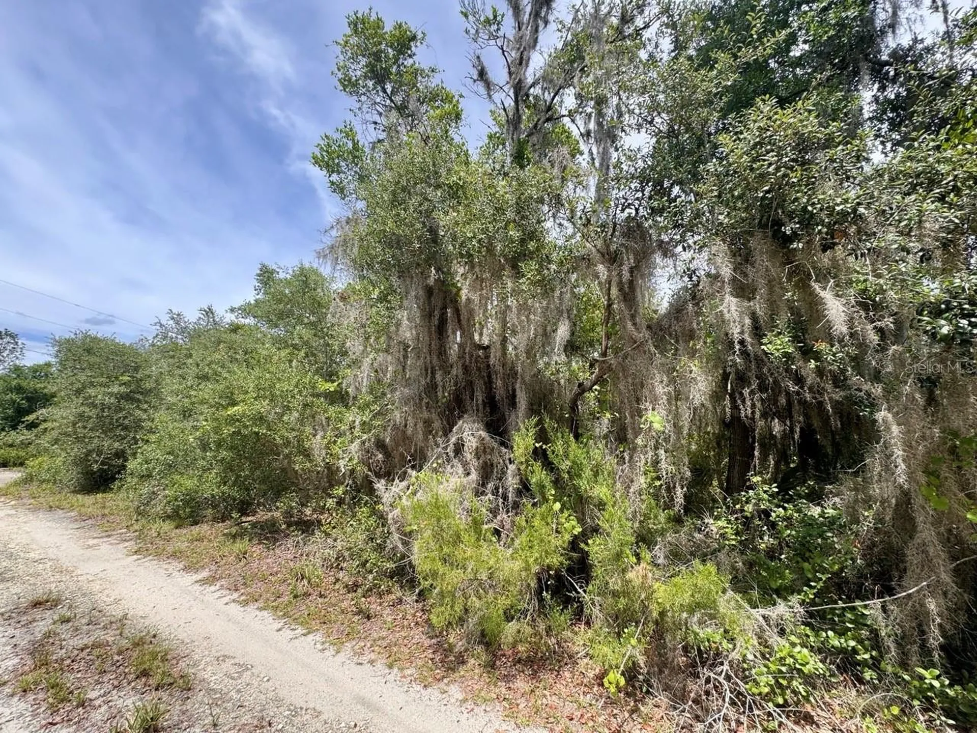8365 NE 306th Court Salt Springs FL 32134
