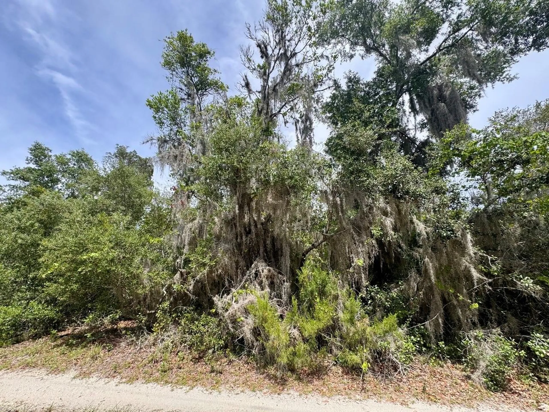 8365 NE 306th Court Salt Springs FL 32134