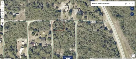 8365 NE 306th Court Salt Springs FL 32134