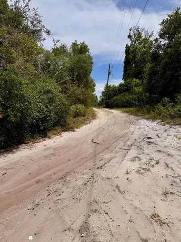 8365 NE 306th Court Salt Springs FL 32134