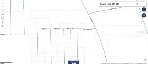8365 NE 306th Court Salt Springs FL 32134