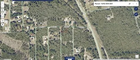 8365 NE 306th Court Salt Springs FL 32134
