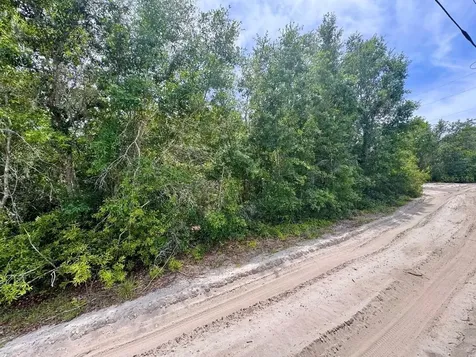 8365 NE 306th Court Salt Springs FL 32134