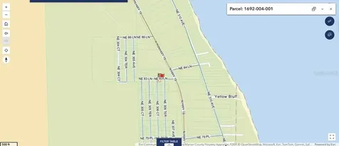 8365 NE 306th Court Salt Springs FL 32134