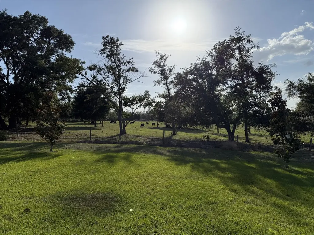1507 Geranium Drive Mascotte FL 34753