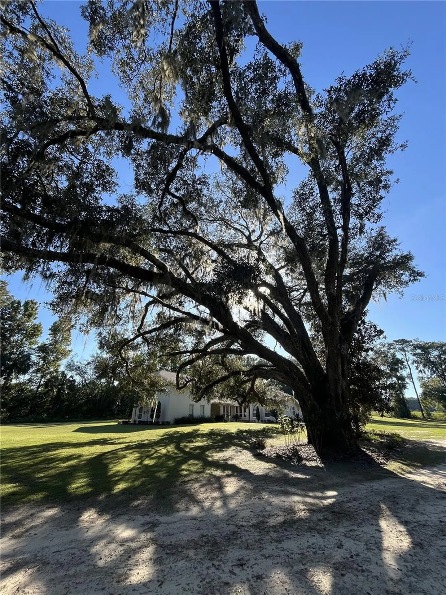 5900 S Magnolia Avenue Ocala FL 34471
