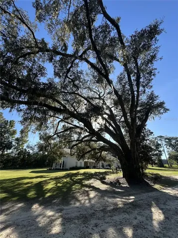 5900 S Magnolia Avenue Ocala FL 34471