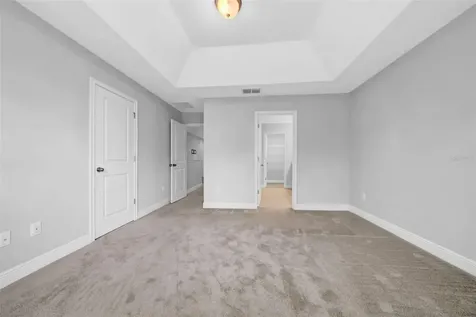 11728 Cambium Crown Drive Riverview FL 33569