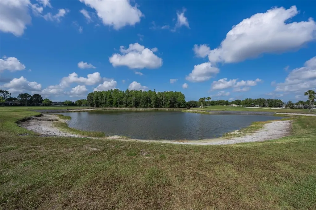 1520 Winding Willow Drive Trinity FL 34655