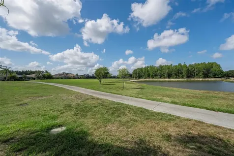 1520 Winding Willow Drive Trinity FL 34655