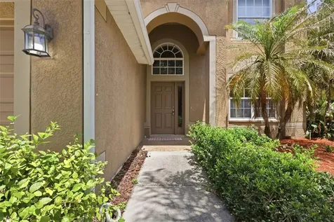 2631 Queen Alberta Drive Valrico FL 33596