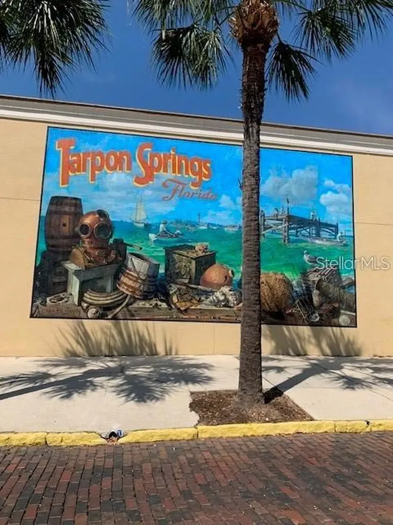 514 Windrush Bay Drive Tarpon Springs FL 34689