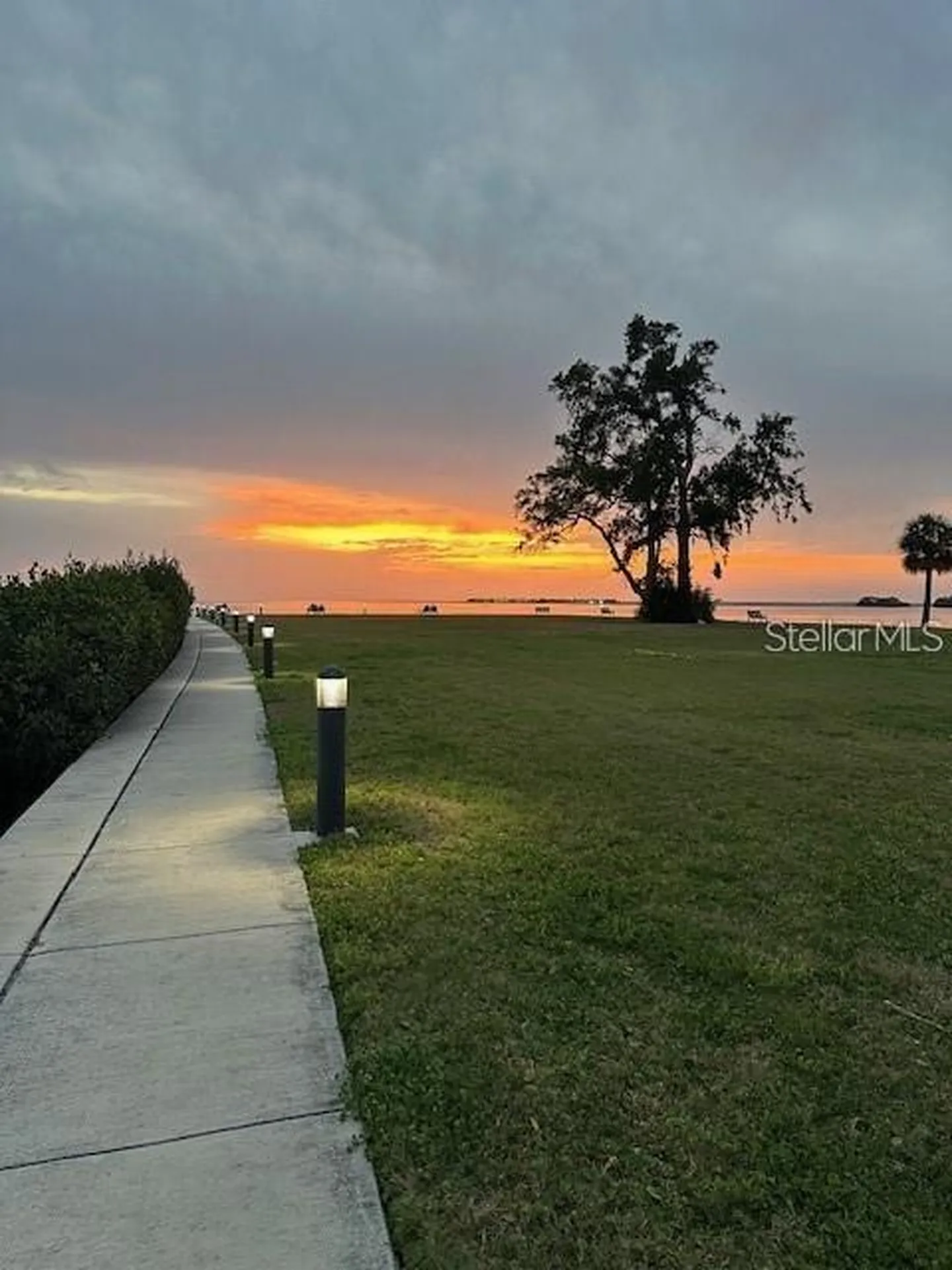 514 Windrush Bay Drive Tarpon Springs FL 34689
